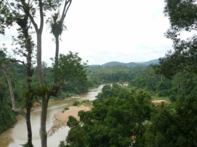 Taman Negara national park