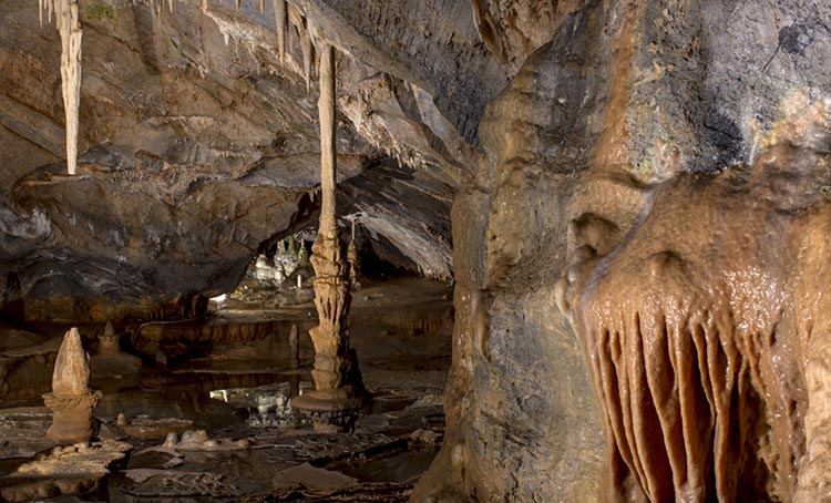 Liguria delle grotte Grotte di Toirano - il salotto delle streghe
