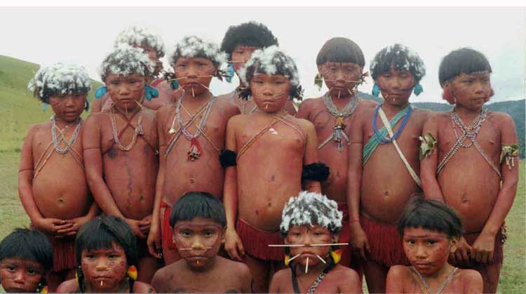 Indios- Yanomami