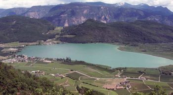 I Masi delle vigne e del vino