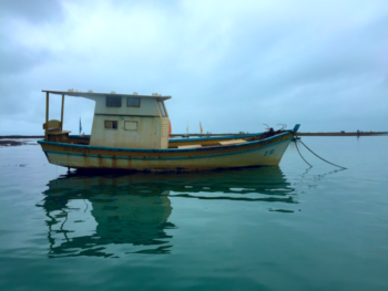 falesia “jangada” foto Renatapolicarpo