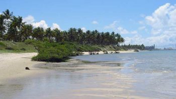 falesia Porto falesie Galinhas foto José Espanca