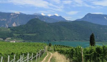 I Masi delle vigne e del vino 3 Seewanderweg zum ©Kalterersee