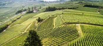 Masi © www.castelringberg.com