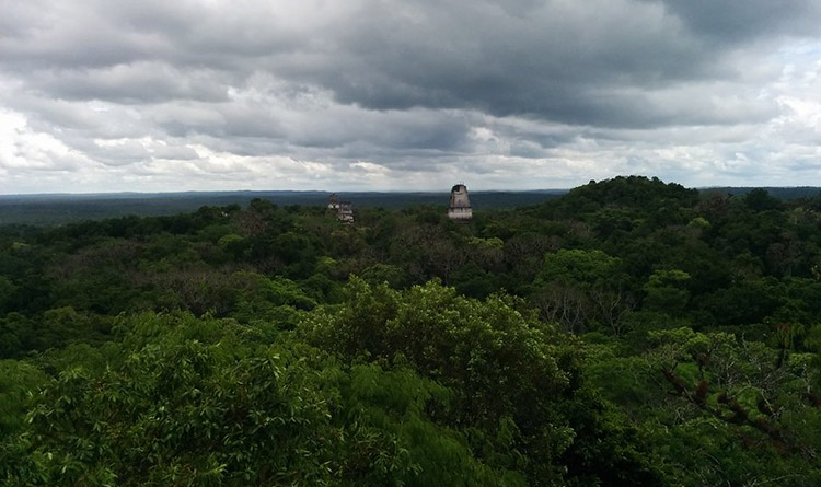 Tikal foto Greg Schechter
