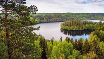 Finlandia le foreste