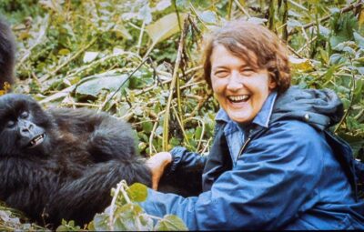 Uganda Dian Fossey
