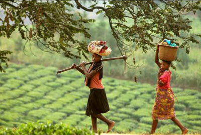Uganda Donne al lavoro nelle piantagioni (ph. © Aldo Pavan)