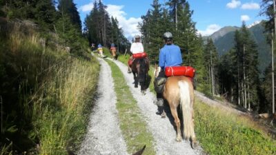 Escursioni a cavallo (Valli di Tures e Aurina)