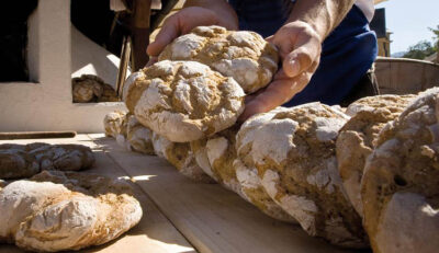 Pane di segale del Trentino