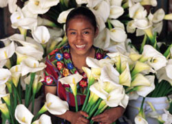 Settimana Santa Venditrice di fiori a Chichicastenango