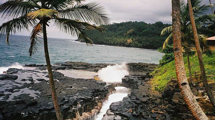 roças São Tomé-foto Maria Cartas
