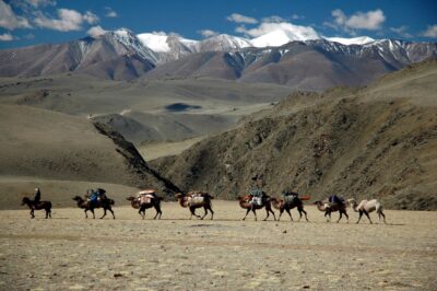 Mongolia Popolo di Viaggiatori foto M. Bertanoglio