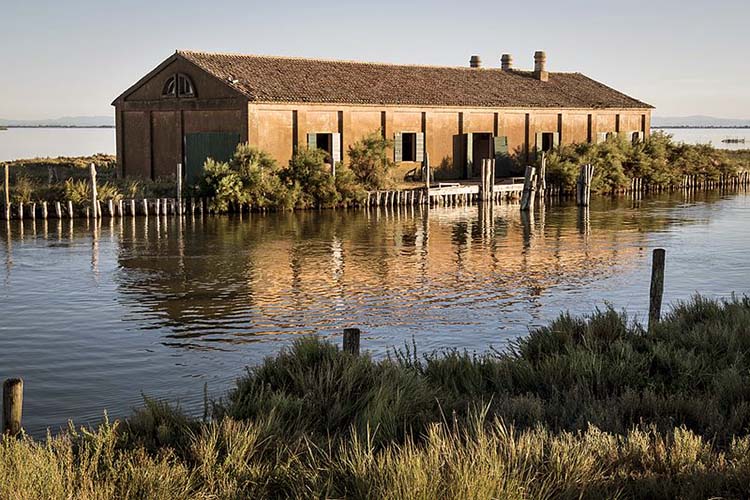 Valli di Comacchio Casoni Serilla