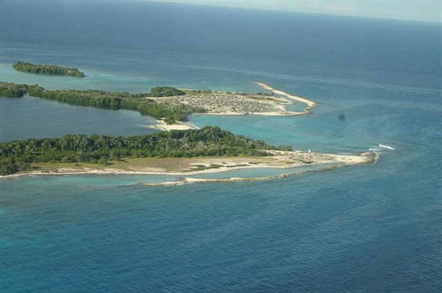 Tortuga Isola Tortuga