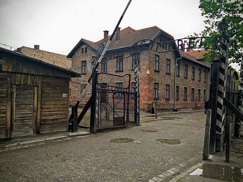 Olocausto Auschwiz foto di D. Gibson