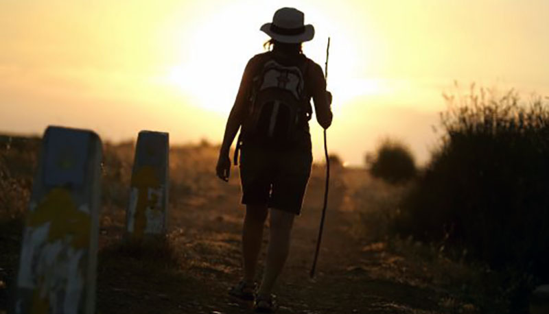 Viandanti Camino de Santiago