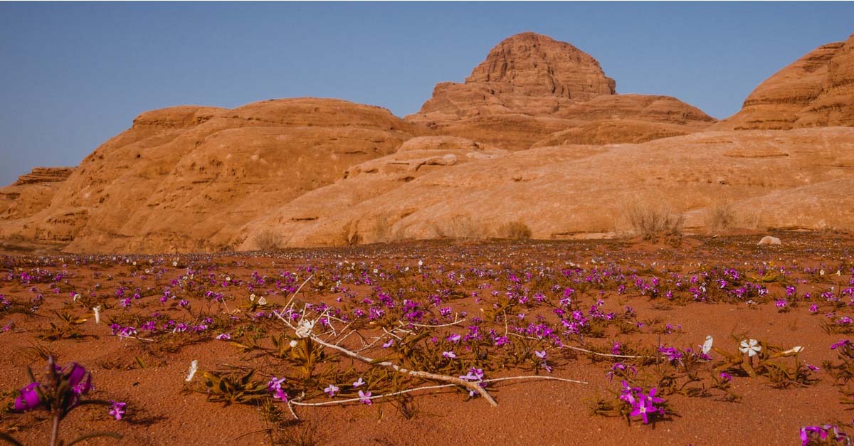 riserva naturale Deserto Wadi Rum