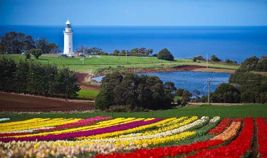 Tasmania a colori