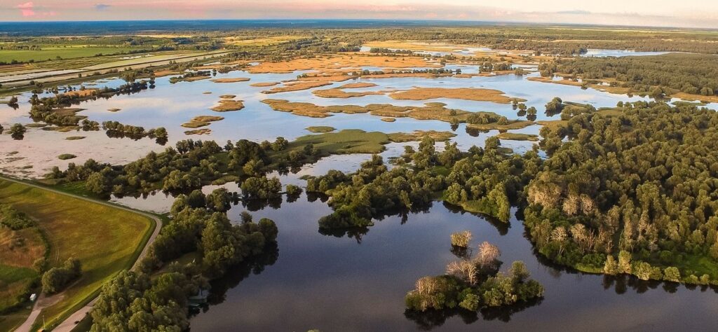 Kopacki rit, il parco