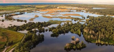 Kopacki rit, il parco