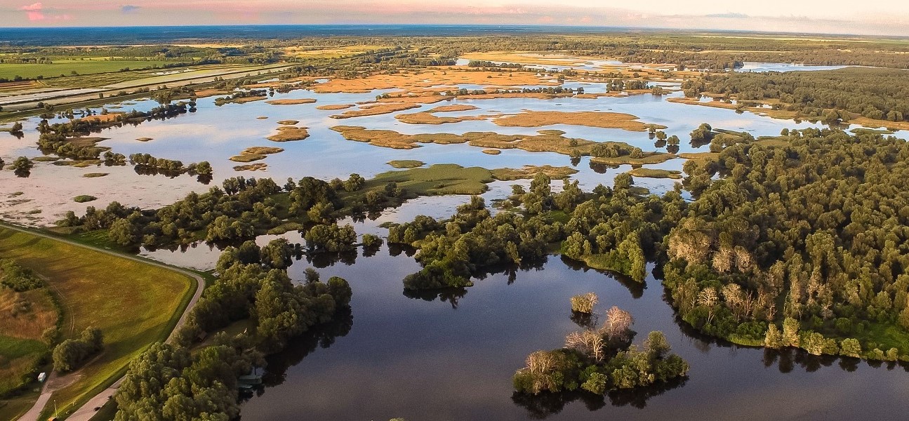 Kopacki rit, il parco