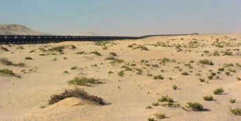 Il treno più lungo del mondo nel deserto mauritano