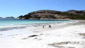 Cape Arid Australia