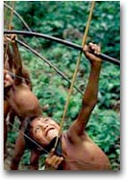 Yanomami Indios Yanomami