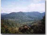 Taman Negara Il Monte Gunung Tahan