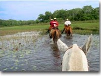 compagni di viaggio Escursione a cavallo a Pantanal, Brasile