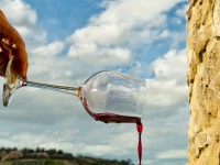 Abruzzo Wine Tour, visite guidate alle vigne abruzzesi