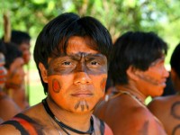 Yanomani: “Urihi a pree” la foresta degli esseri umani