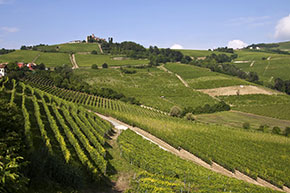 Italia Paesaggi vitivinicoli del Piemonte, Langhe-Roero e Monferrato