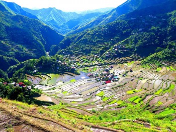 RisaieTerrazzate_TropicalExperience1