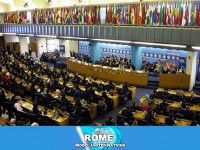 Rome Model United Nations, la parola ai giovani