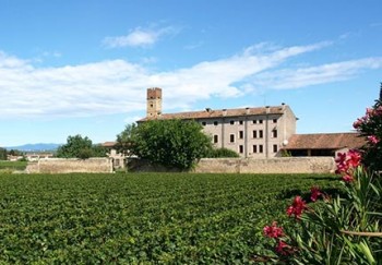 Strada-vino-Soave-Pieve-Colognola-ai-Colli.jpg
