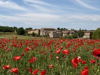 La Toscana ad Expo tra itinerari turistici ed eventi