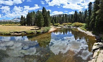 Tuolumne-Meadows.jpg