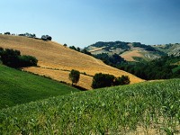 Emilia Romagna: il buon vivere diventa vacanza