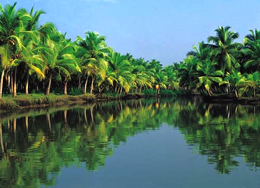 Goa Le backwaters, tratti di laguna paralleli al Mare Arabico