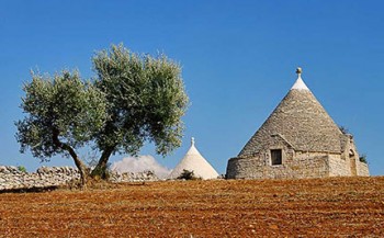 campagna_valle_ditria_430.jpg
