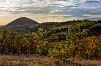 colli-euganei_430.jpg