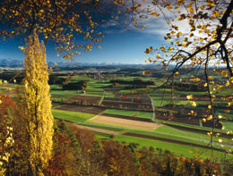 La pianura vicino Stettfurt, Canton Thurgau (Copyright by Switzerland Tourism Byline: swiss-image.ch/Max Schmid )