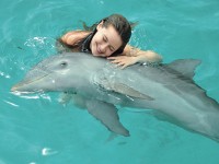 Il paradiso dei delfini a Punta Cana