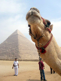 A zonzo tra Cairo e Piramidi