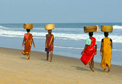 Orissa Sulla spiaggia di Gopalpur (Foto: 2011 Lou Wilson)