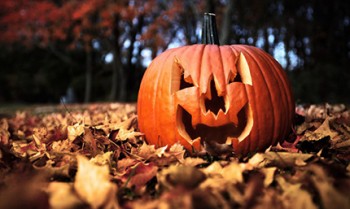 zucche La tipica zucca di Halloween. Copyright foto: © Shutterstock