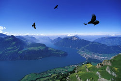Lago di Lucerna
