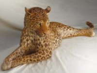 Un leopardo a Portofino